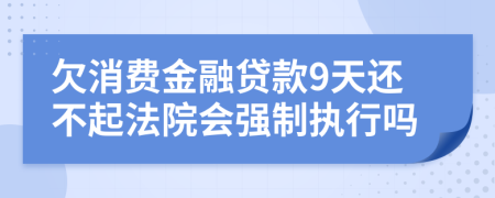 欠消费金融贷款9天还不起法院会强制执行吗