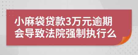 小麻袋贷款3万元逾期会导致法院强制执行么