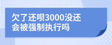 欠了还呗3000没还会被强制执行吗