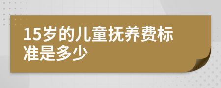 15岁的儿童抚养费标准是多少