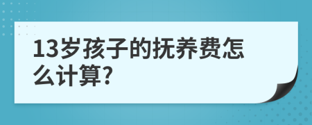 13岁孩子的抚养费怎么计算?