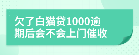 欠了白猫贷1000逾期后会不会上门催收