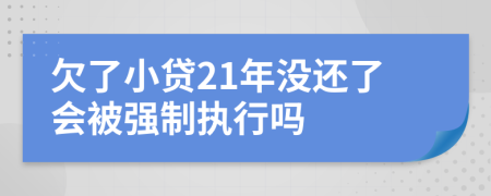 欠了小贷21年没还了会被强制执行吗