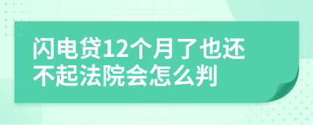 闪电贷12个月了也还不起法院会怎么判