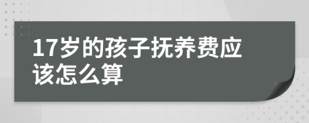 17岁的孩子抚养费应该怎么算