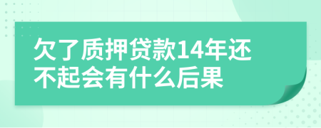 欠了质押贷款14年还不起会有什么后果