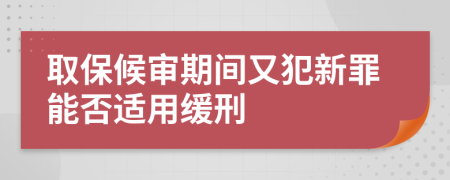 取保候审期间又犯新罪能否适用缓刑