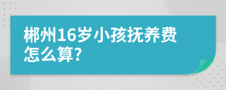 郴州16岁小孩抚养费怎么算?