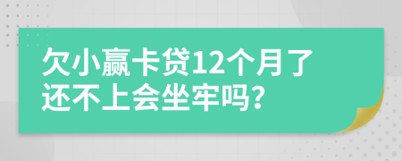 欠小赢卡贷12个月了还不上会坐牢吗？