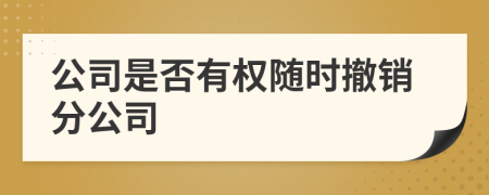 公司是否有权随时撤销分公司