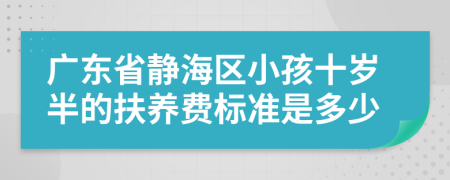 广东省静海区小孩十岁半的扶养费标准是多少