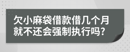 欠小麻袋借款借几个月就不还会强制执行吗?