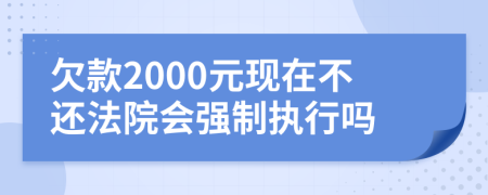 欠款2000元现在不还法院会强制执行吗