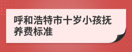 呼和浩特市十岁小孩抚养费标准