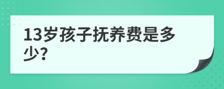 13岁孩子抚养费是多少？