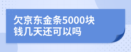 欠京东金条5000块钱几天还可以吗