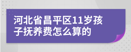 河北省昌平区11岁孩子抚养费怎么算的