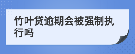 竹叶贷逾期会被强制执行吗