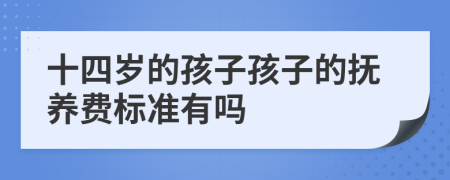 十四岁的孩子孩子的抚养费标准有吗