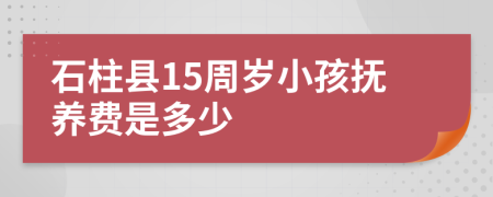 石柱县15周岁小孩抚养费是多少