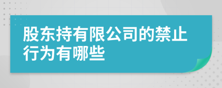 股东持有限公司的禁止行为有哪些