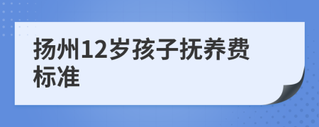 扬州12岁孩子抚养费标准