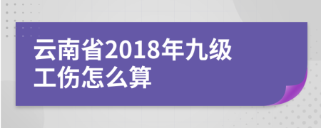 云南省2018年九级工伤怎么算