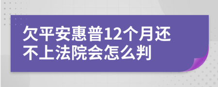 欠平安惠普12个月还不上法院会怎么判