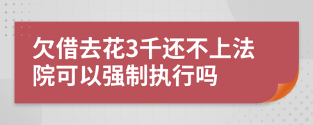 欠借去花3千还不上法院可以强制执行吗