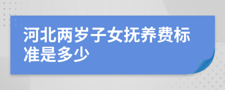 河北两岁子女抚养费标准是多少