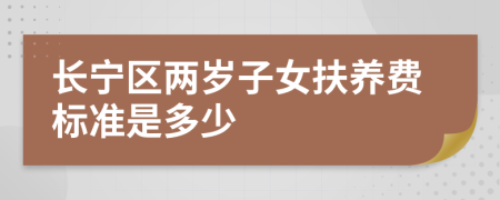 长宁区两岁子女扶养费标准是多少
