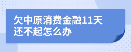 欠中原消费金融11天还不起怎么办