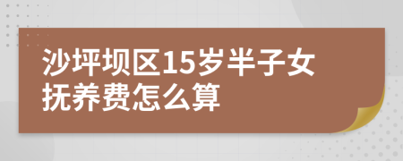 沙坪坝区15岁半子女抚养费怎么算