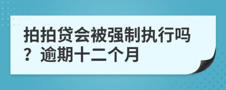 拍拍贷会被强制执行吗？逾期十二个月