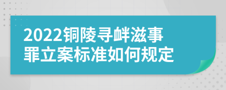 2022铜陵寻衅滋事罪立案标准如何规定