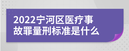 2022宁河区医疗事故罪量刑标准是什么