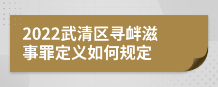 2022武清区寻衅滋事罪定义如何规定