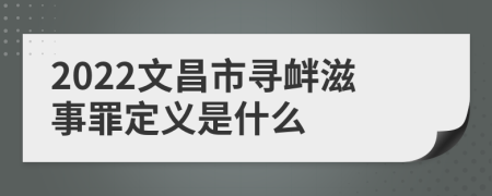 2022文昌市寻衅滋事罪定义是什么