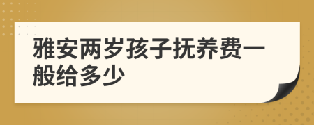 雅安两岁孩子抚养费一般给多少