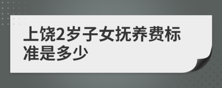 上饶2岁子女抚养费标准是多少