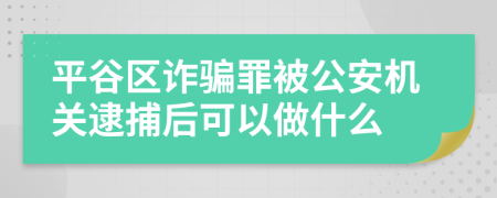 平谷区诈骗罪被公安机关逮捕后可以做什么