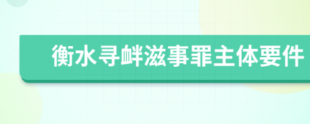 衡水寻衅滋事罪主体要件