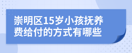 崇明区15岁小孩抚养费给付的方式有哪些