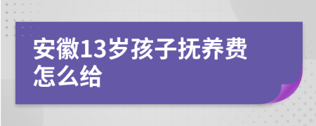 安徽13岁孩子抚养费怎么给