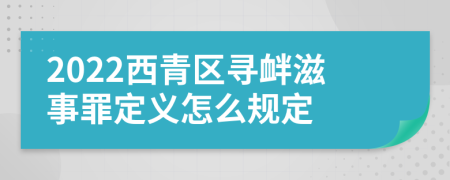 2022西青区寻衅滋事罪定义怎么规定