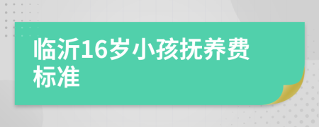 临沂16岁小孩抚养费标准
