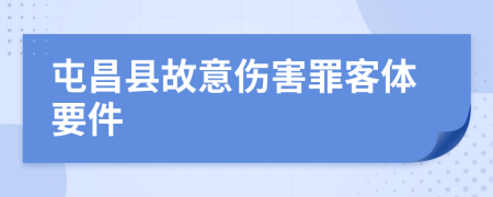 屯昌县故意伤害罪客体要件