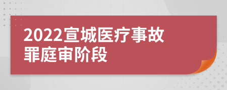 2022宣城医疗事故罪庭审阶段