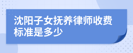 沈阳子女抚养律师收费标准是多少