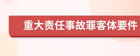 重大责任事故罪客体要件